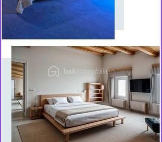  Propri�t�/ch�teau � vendre 6 pi�ces 250 m�