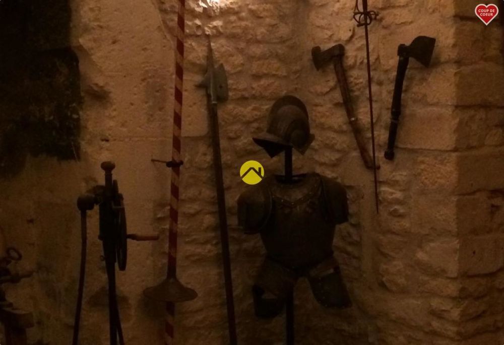 � vendre  Propri�t�/ch�teau Blet (18350)