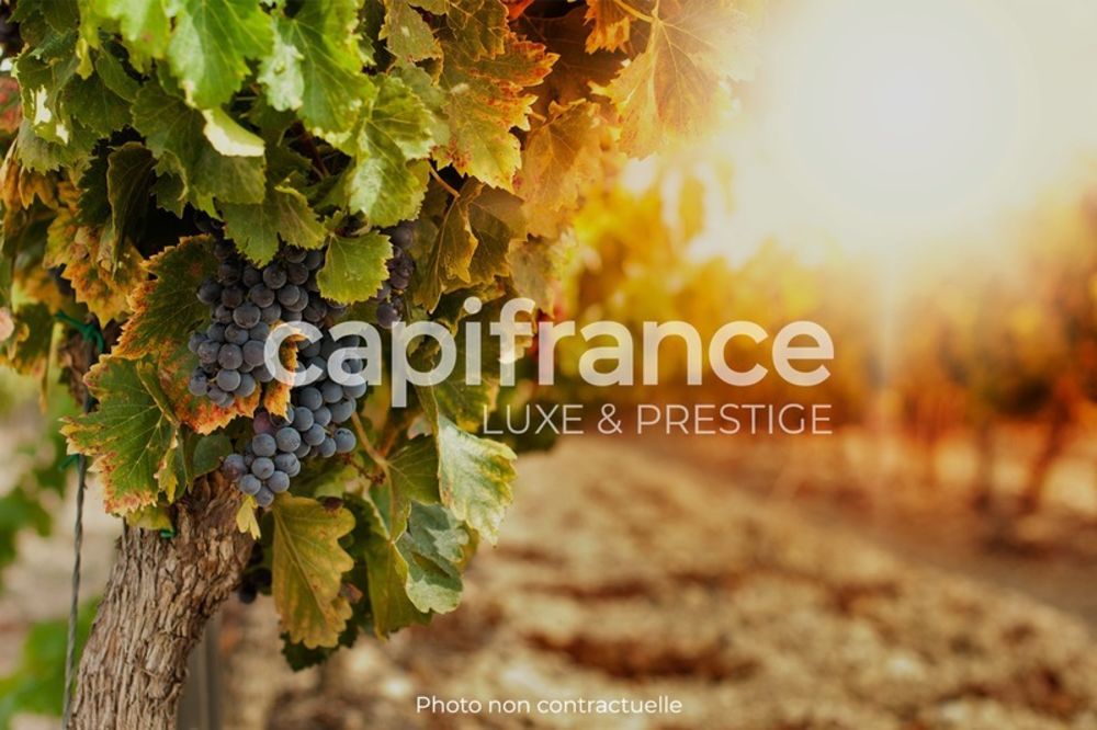 � vendre  Propri�t�/ch�teau Bagnols-sur-C�ze (30200)