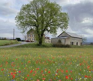  Maison � vendre 10 pi�ces 214 m�