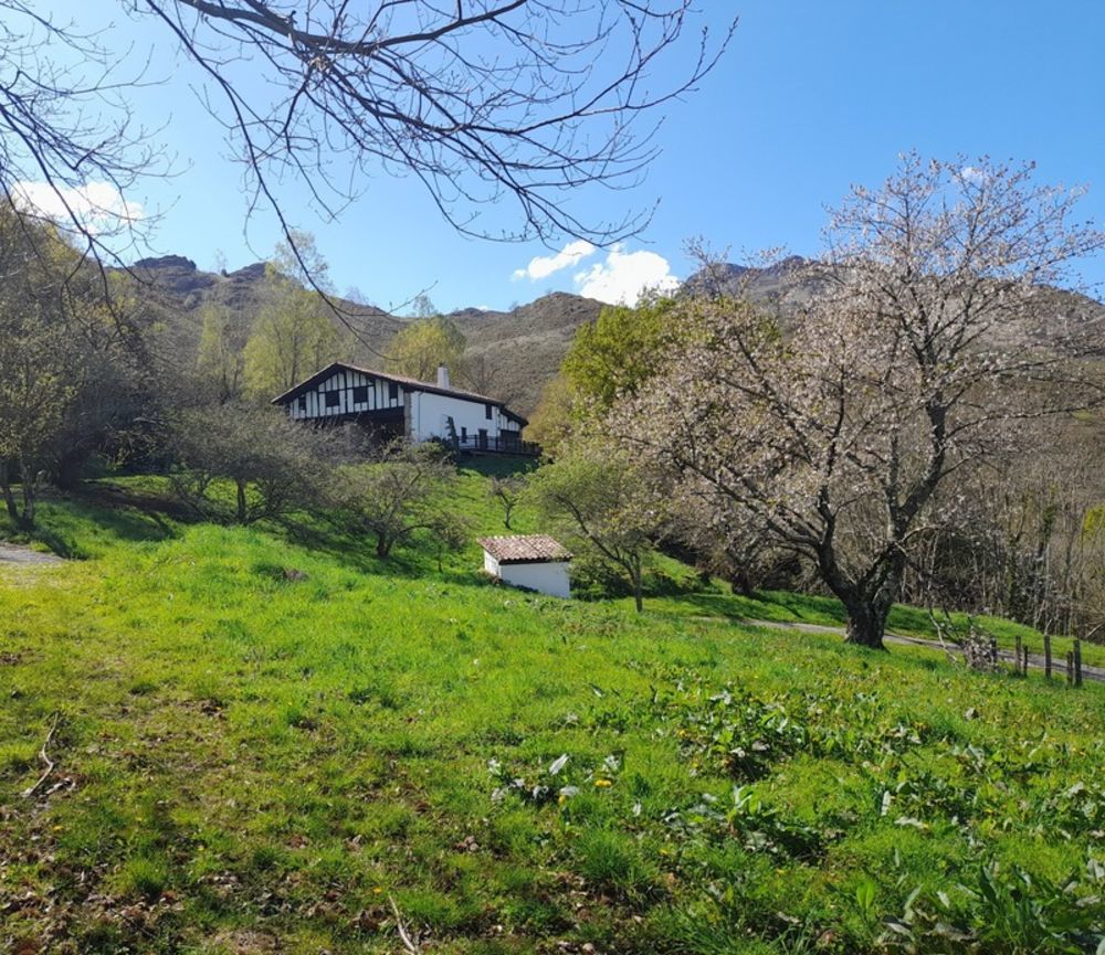 � vendre  Propri�t�/ch�teau Sare (64310)