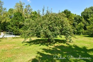  Maison � vendre 7 pi�ces 200 m�