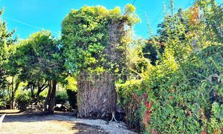  Maison � vendre 7 pi�ces 170 m�