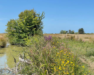  Maison � vendre 5 pi�ces 97 m�