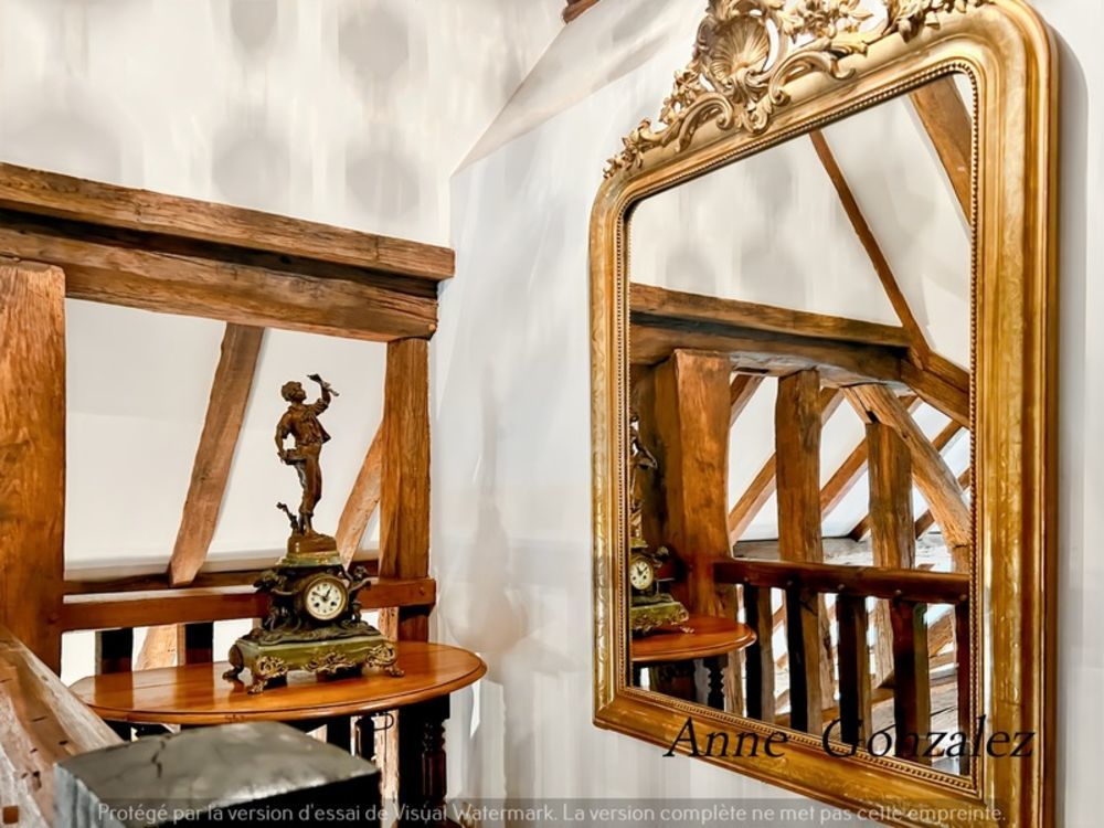 � vendre  Propri�t�/ch�teau Orl�ans (45000)