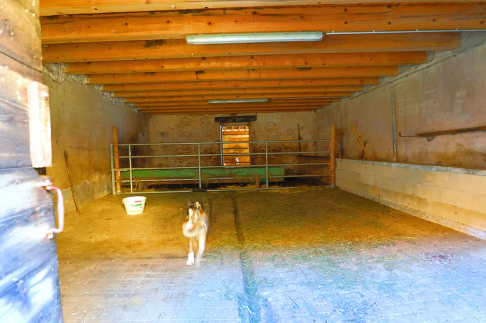 � vendre  Propri�t�/ch�teau Beaufort (39190)