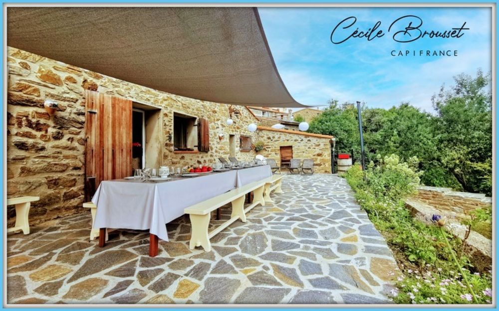 � vendre  Propri�t�/ch�teau Taulis (66110)