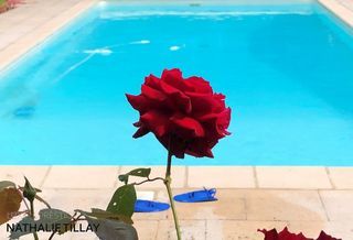  Maison � vendre 9 pi�ces 222 m�