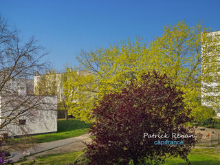  Appartement � vendre 4 pi�ces 78 m�