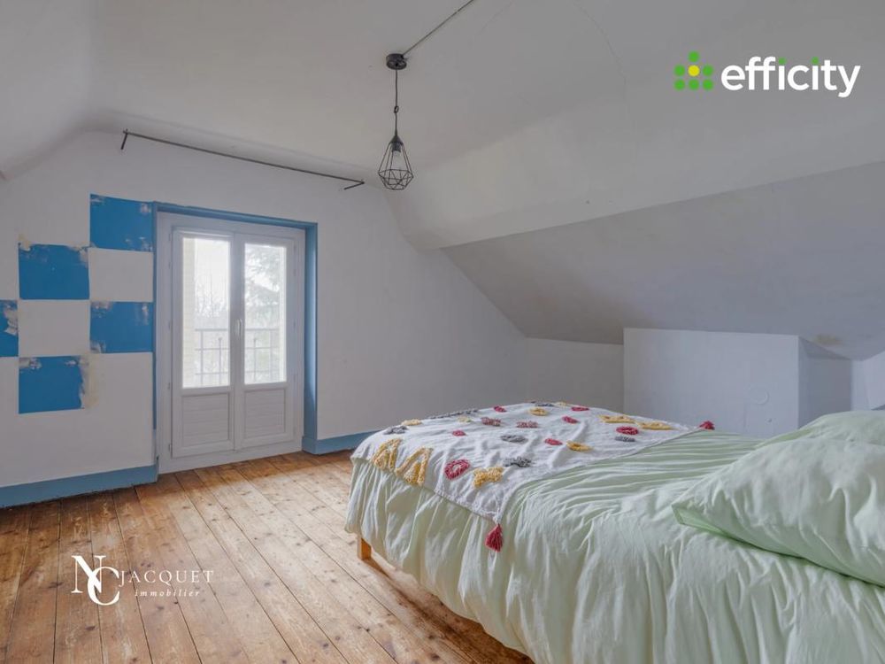 � vendre  Propri�t�/ch�teau Neyron (01700)