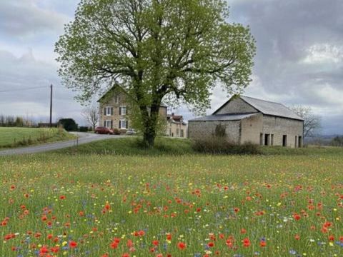   Tr�s joli corps de ferme et 1, 1 hectares de terrain Maison - 10 pi�ce(s) - 214 m�