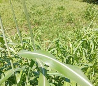  Terrain � vendre 556 m�