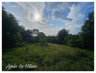  Terrain � vendre 2983 m�