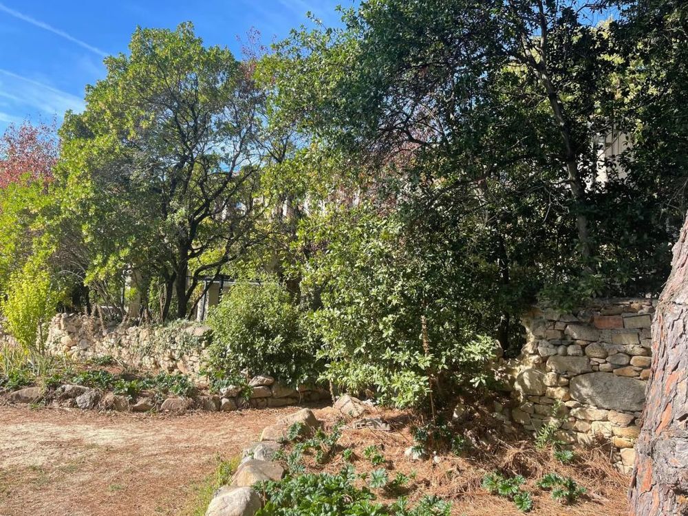 � vendre  Propri�t�/ch�teau Montolieu (11170)