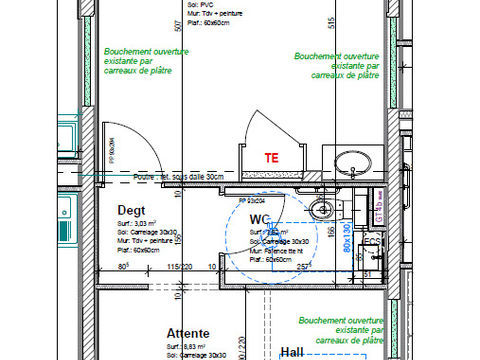 REPLONGES - LOCAL PROFESSIONNEL 917 01000 Replonges