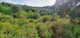  Terrain � vendre 3000 m�