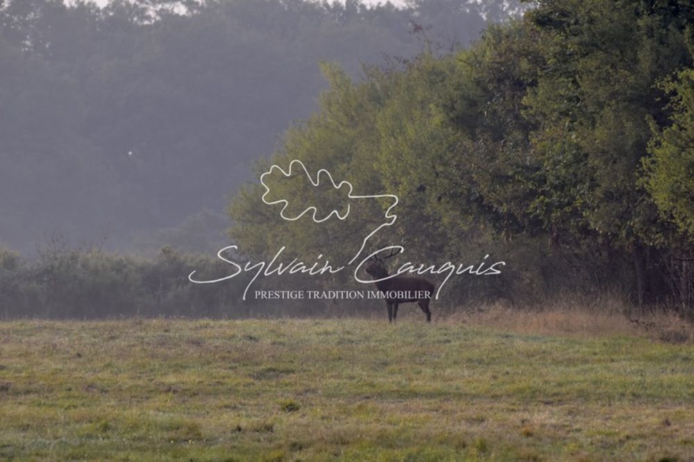 � vendre  Propri�t�/ch�teau Sennely (45240)