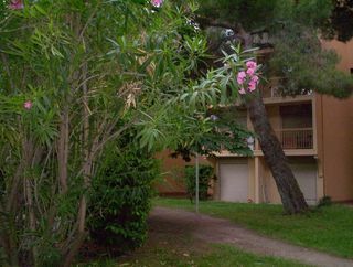  Appartement � louer 1 pi�ce 28 m�