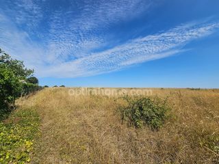  Terrain � vendre 4857 m�