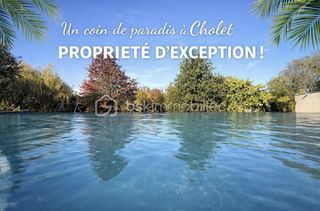  Propri�t�/ch�teau � vendre 12 pi�ces 398 m�