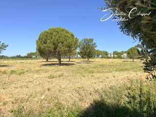  Terrain � vendre 799 m�