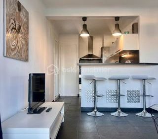  Appartement � vendre 2 pi�ces 47 m�