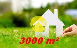  Terrain � vendre 1 pi�ce 3000 m�