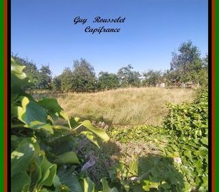  Terrain � vendre 1293 m�