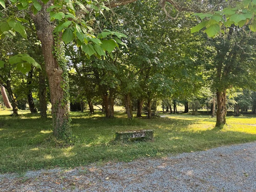 � vendre  Propri�t�/ch�teau Bordeaux (33000)