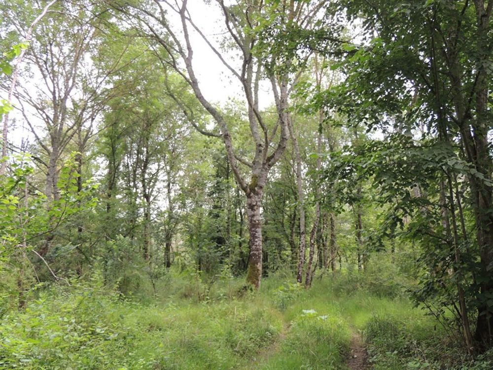 � vendre  Propri�t�/ch�teau Myennes (58440)