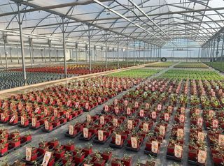  Propri�t�/ch�teau � vendre 4 pi�ces 120 m�