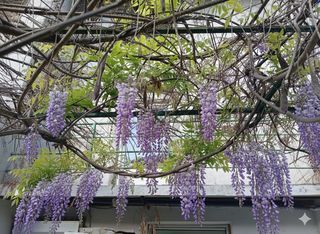  Maison � vendre 7 pi�ces 120 m�