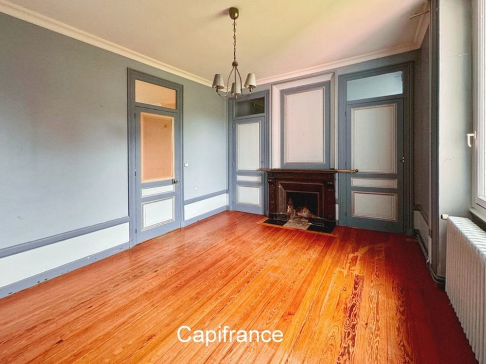 � vendre  Propri�t�/ch�teau Eyzin-Pinet (38780)