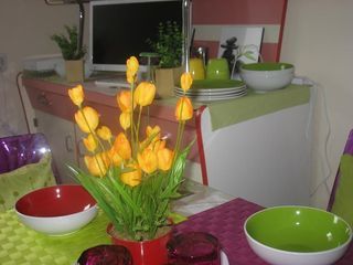  Appartement � louer 1 pi�ce 11 m�