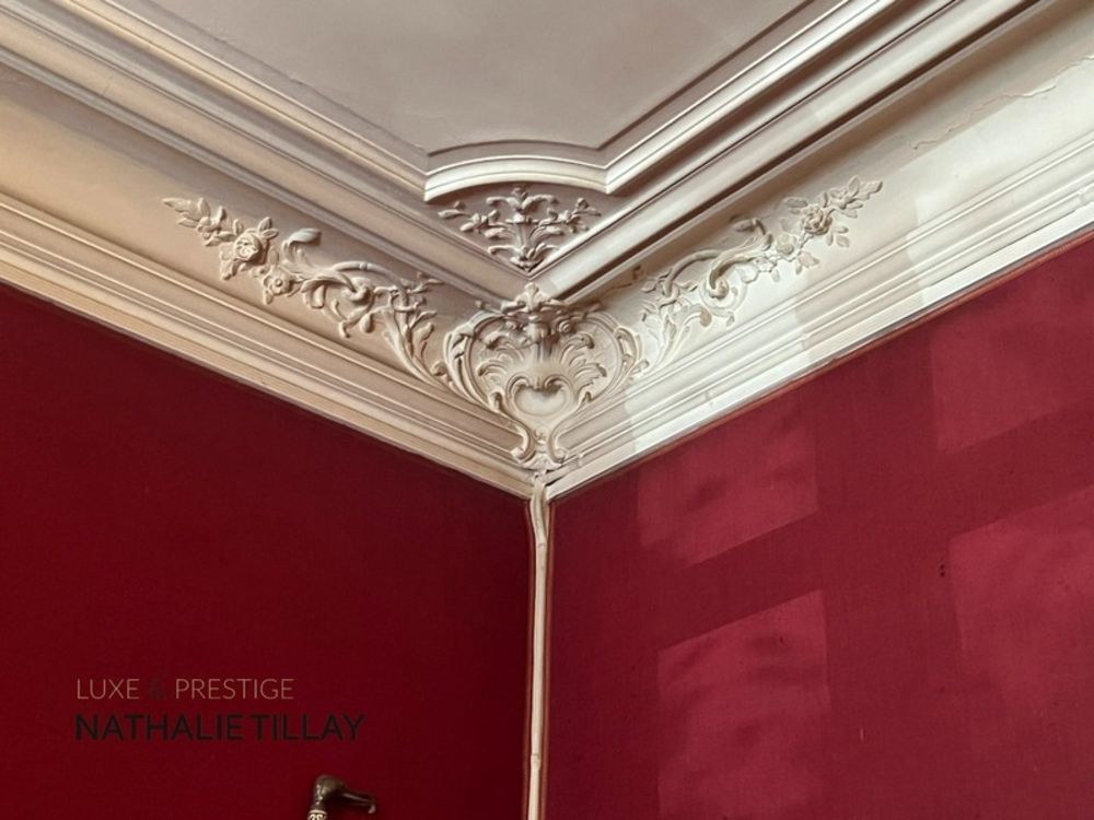 � vendre  H�tel Particulier Orl�ans (45000)