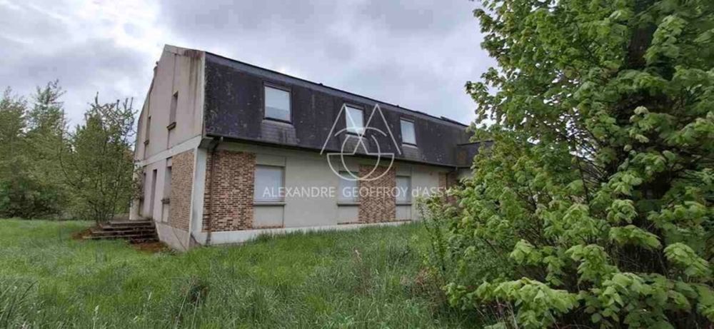 � vendre  Propri�t�/ch�teau Tours (37000)