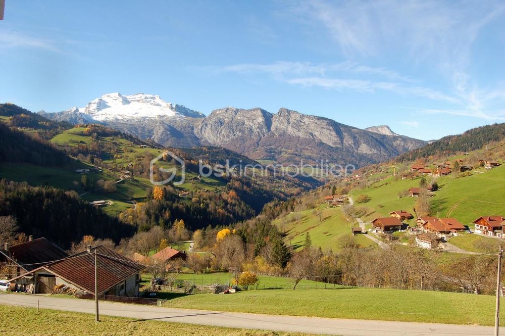 � vendre  Chalet Manigod (74230)