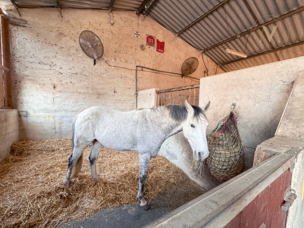 � vendre  Propri�t�/ch�teau Tournon-d'Agenais (47370)