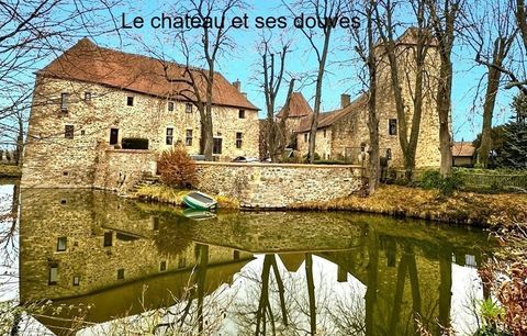   Ch�teau � vendre au coeur du bocage bourbonnais sur un parc de 1,5 Ha Propri�t�/ch�teau - 5 pi�ce(s) - 350 m�