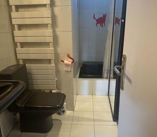  Appartement � louer 1 pi�ce 12 m�