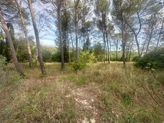 Terrain � vendre 1041 m�