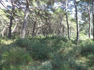  Terrain � vendre 4644 m�