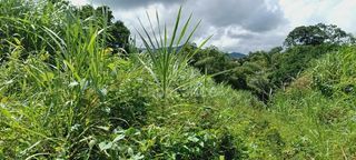  Terrain � vendre 5303 m�