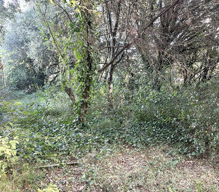  Terrain � vendre 400 m�