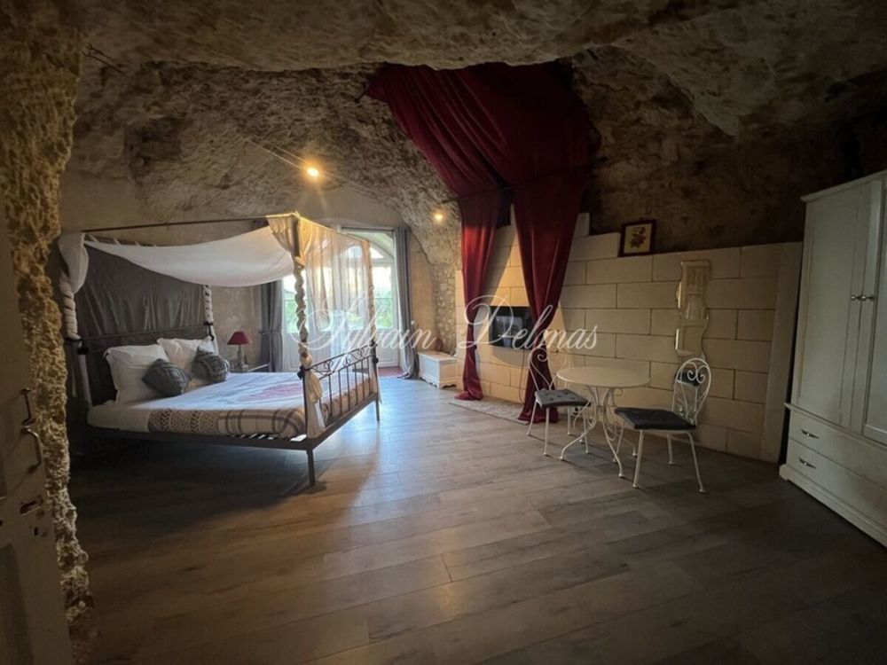 � vendre  Propri�t�/ch�teau Amboise (37400)