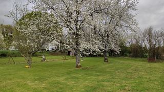  Terrain � vendre 977 m�