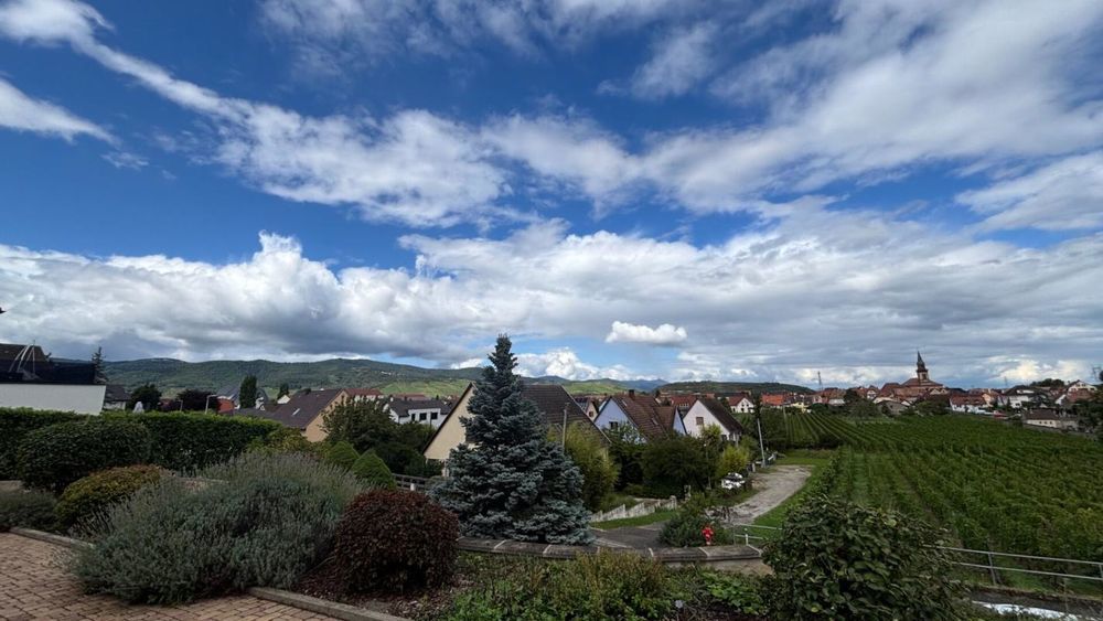 � vendre  Maison Wintzenheim (68920)