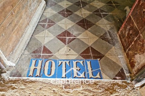   Ancien h�tel particulier de 7 Chambres avec terrasse toit, jardin, salle de cin�ma, salle de th��tre, divers salons Maison - 11 pi�ce(s) - 450 m�