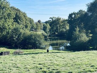  Propri�t�/ch�teau � vendre 14 pi�ces 380 m�