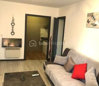  Loft � vendre 2 pi�ces 43 m�